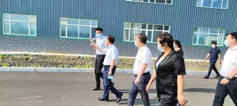 市政府主要領(lǐng)導(dǎo)魯長友、關(guān)集雙深入企業(yè)調(diào)研工作(圖2)
