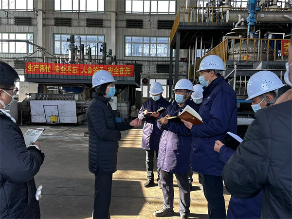 11.03黑龍江省委常委、常務(wù)副省長沈瑩來公司視察(圖1)